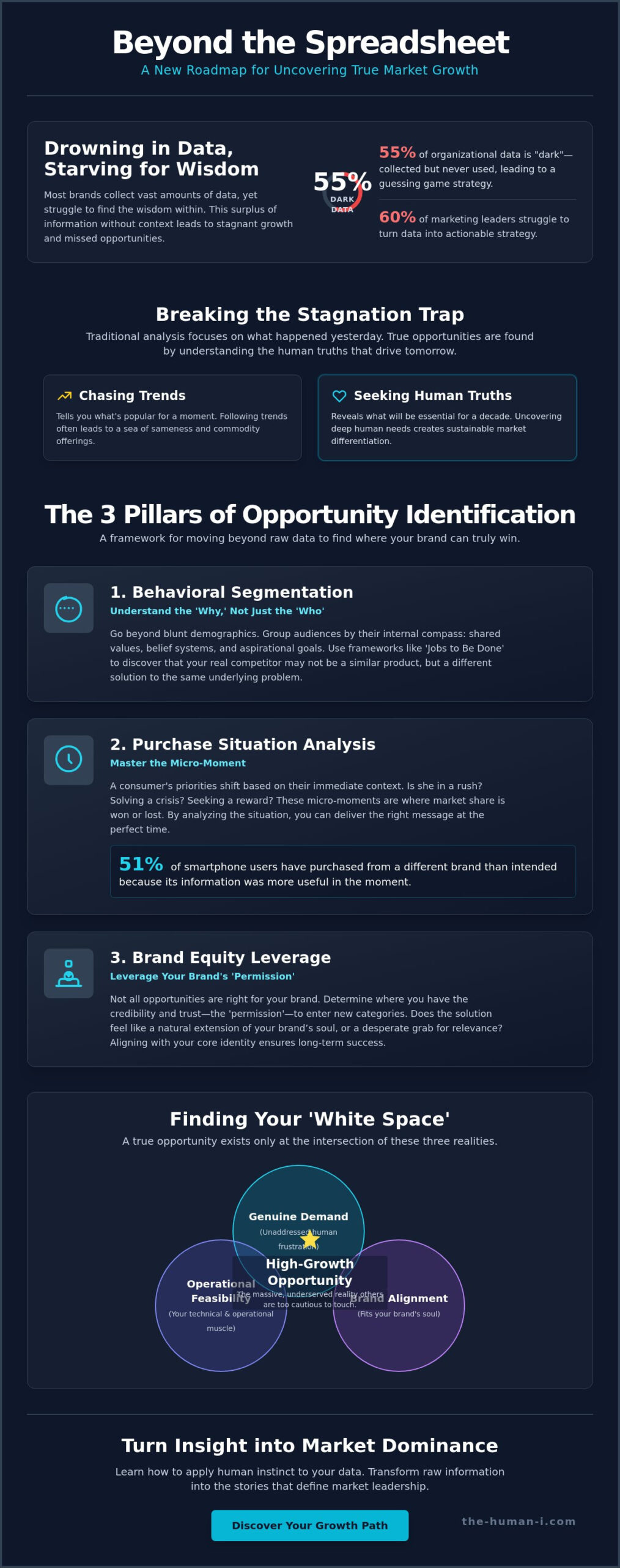 Identifying Market Opportunities for Growth: Where Data Meets Human Wisdom - Infographic